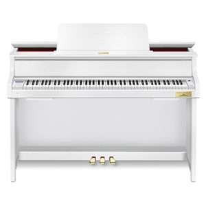 casio gp 310 we
