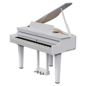Roland GP-6 PW