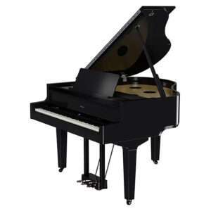 Roland GP-9M PE