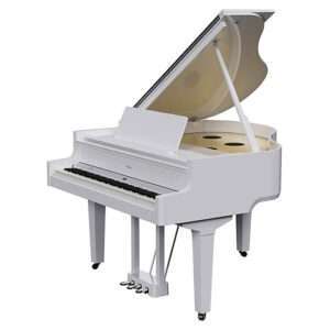 Roland GP-9M PW