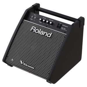 roland pm 100 versterker
