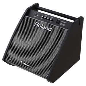 roland pm 200 versterker
