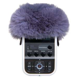 roland r07 ws